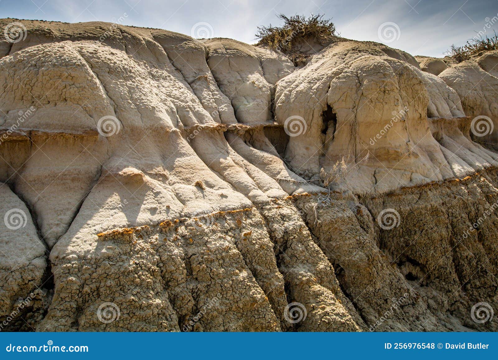 Early in the Spring, Badlands. Drumheller Alberta, Canada Stock Photo