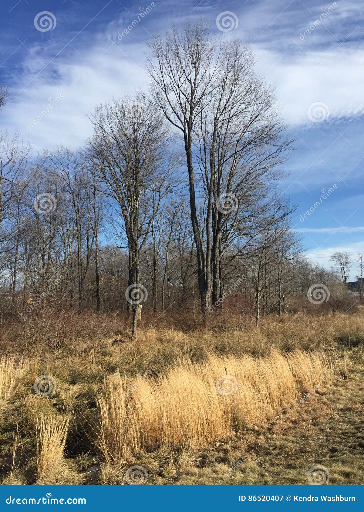 Early spring sunshine. Lovely early spring day in pa