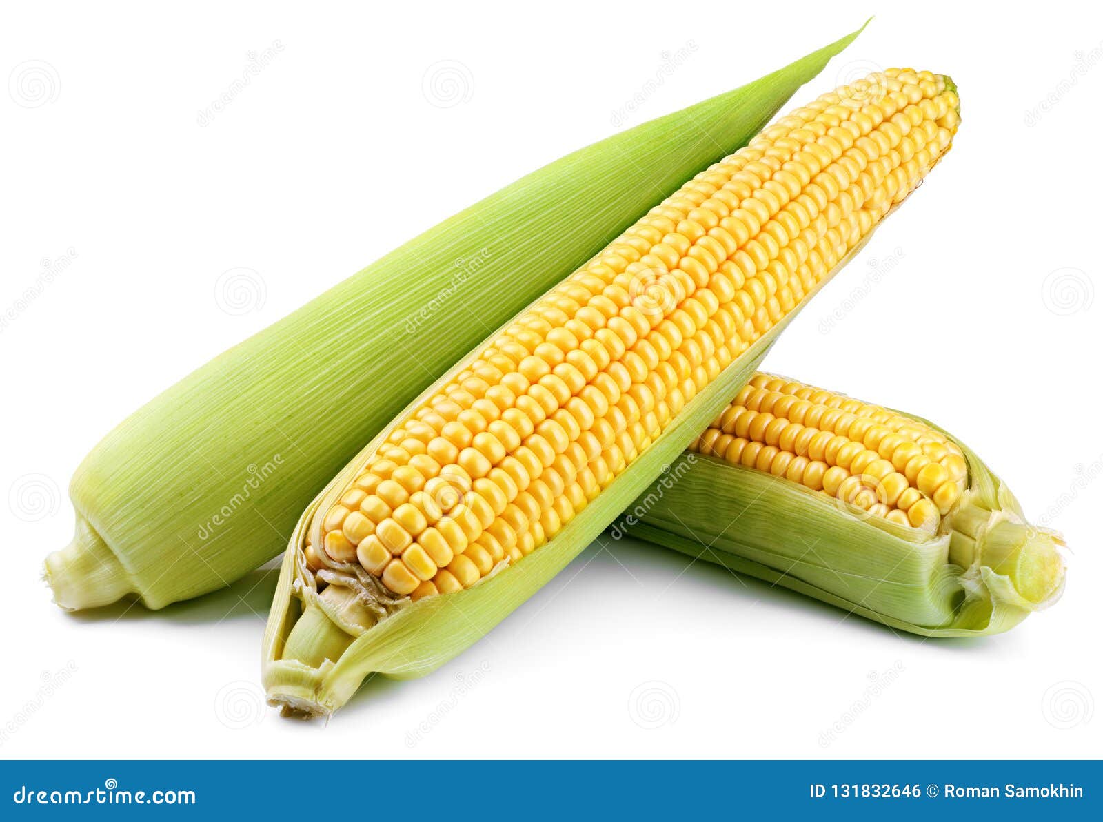 calorie counter 1 ear of corn calorie counter 1 ear of corn