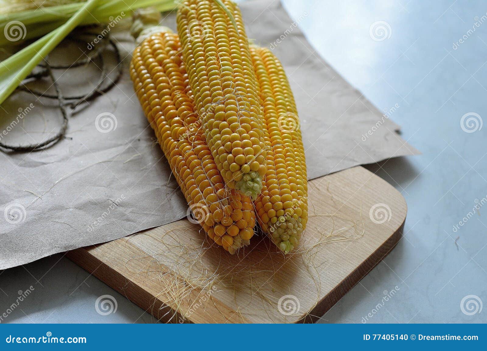 Ears of fresh corn stock photo. Image of tasty, summer 77405140