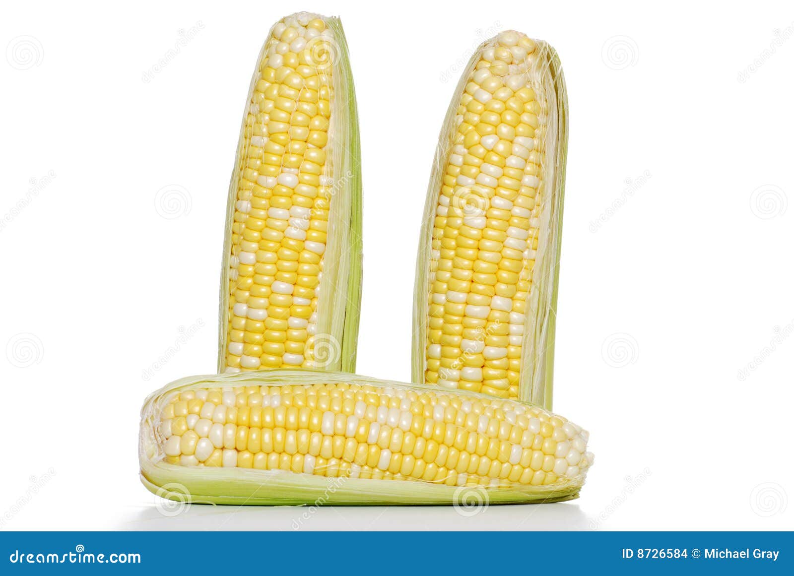 Ears of Sweet Corn on the Cob Stock Photo Image of pile, health 8726584