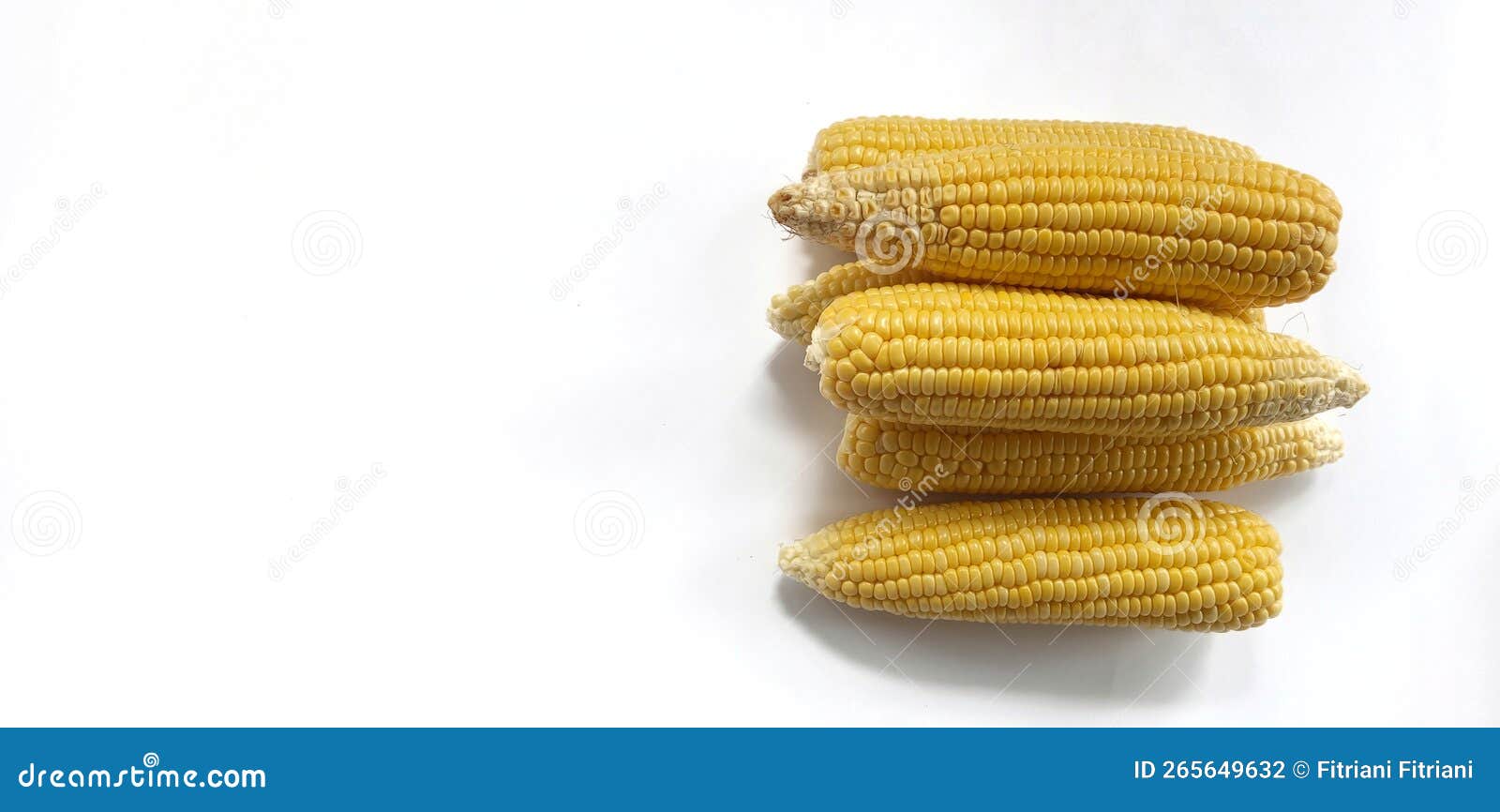 Ears of Sweet Corn on White Background Stock Photo Image of health