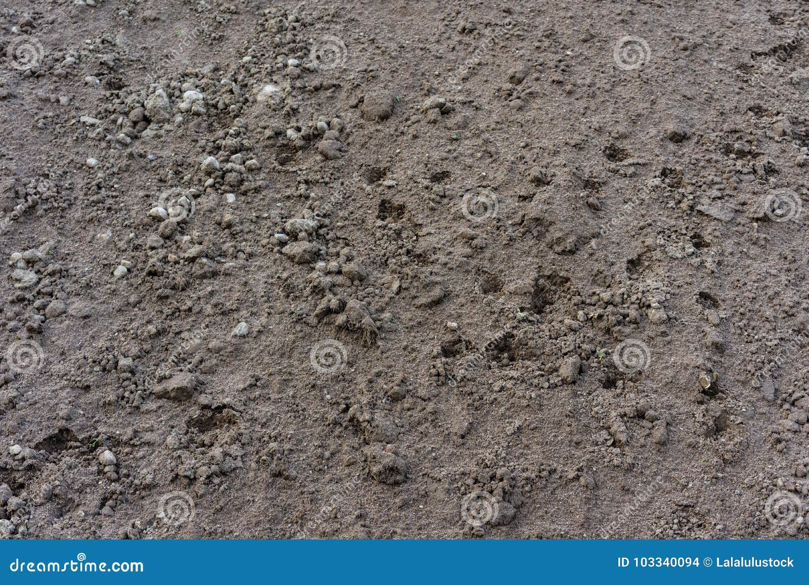 Earth for Construction Piled Up Close Up Stock Photo Image of