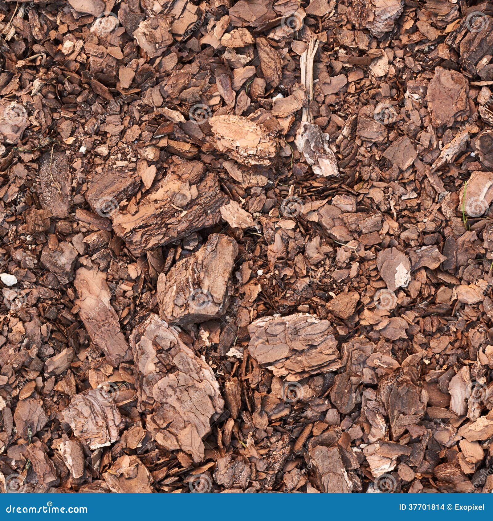 Earth covered with mulch stock photo. Image of earth 37701814