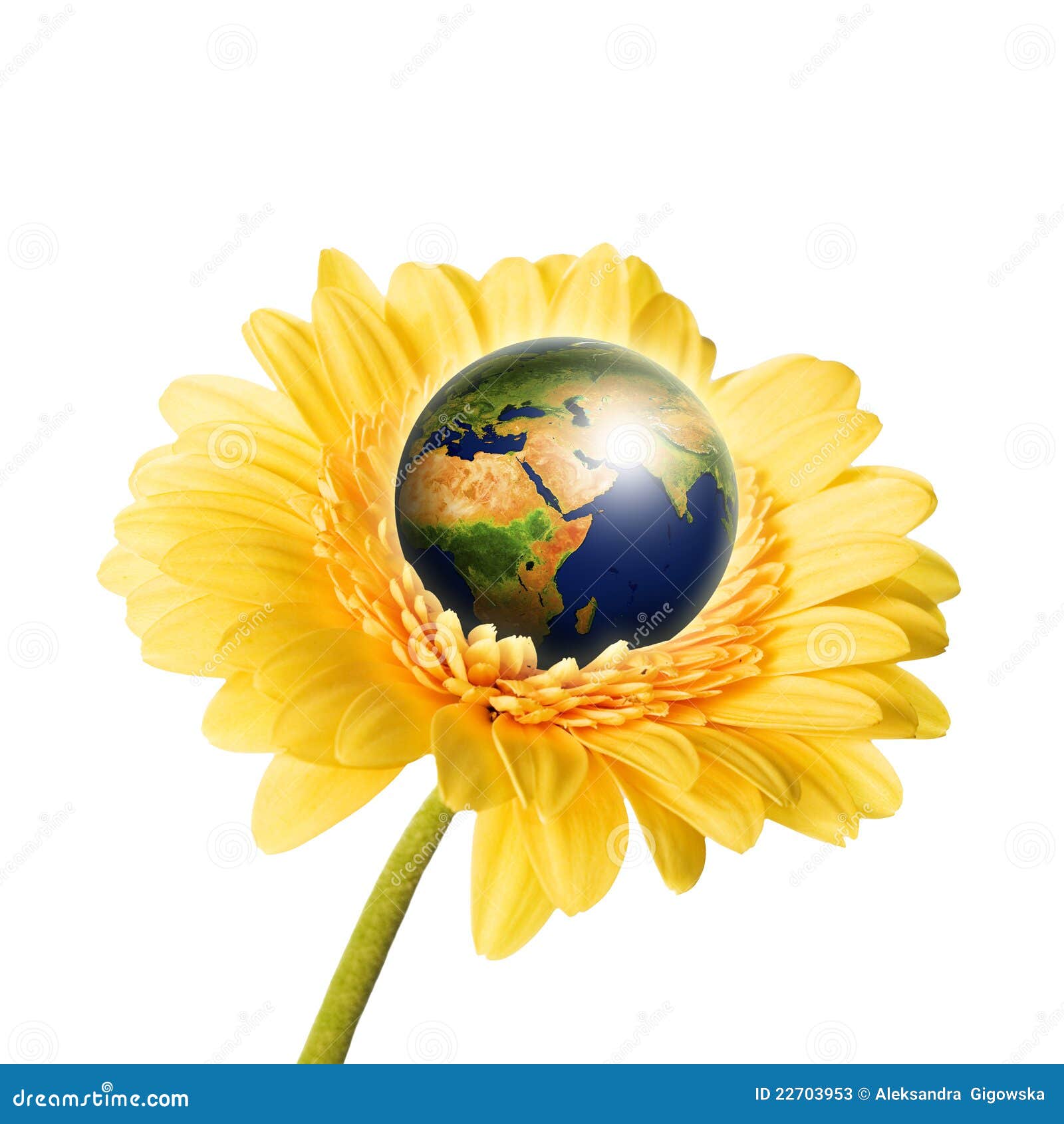 Earth in Flower Isolated Over White Stock Illustration Illustration
