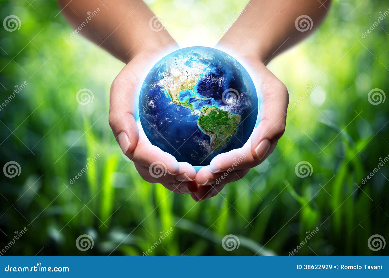 earth in hands - environment concept