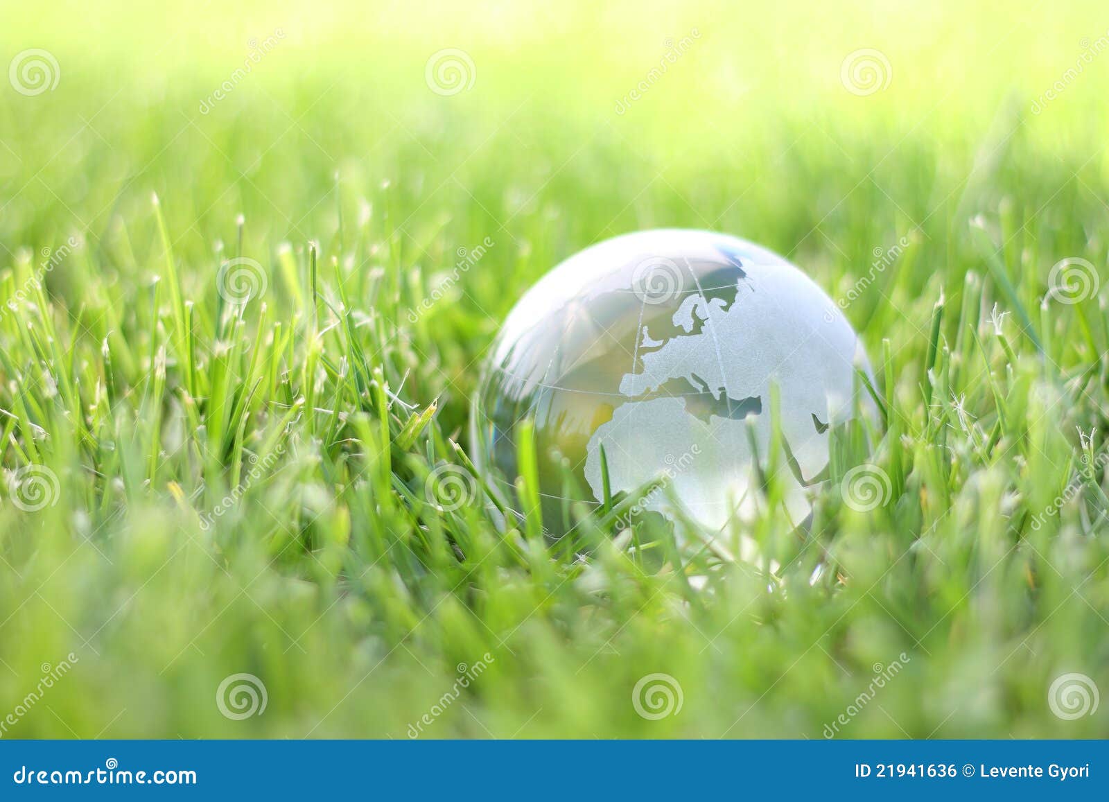 38,804 Bio Grass Photos Free & Royalty-Free Stock Photos from Dreamstime