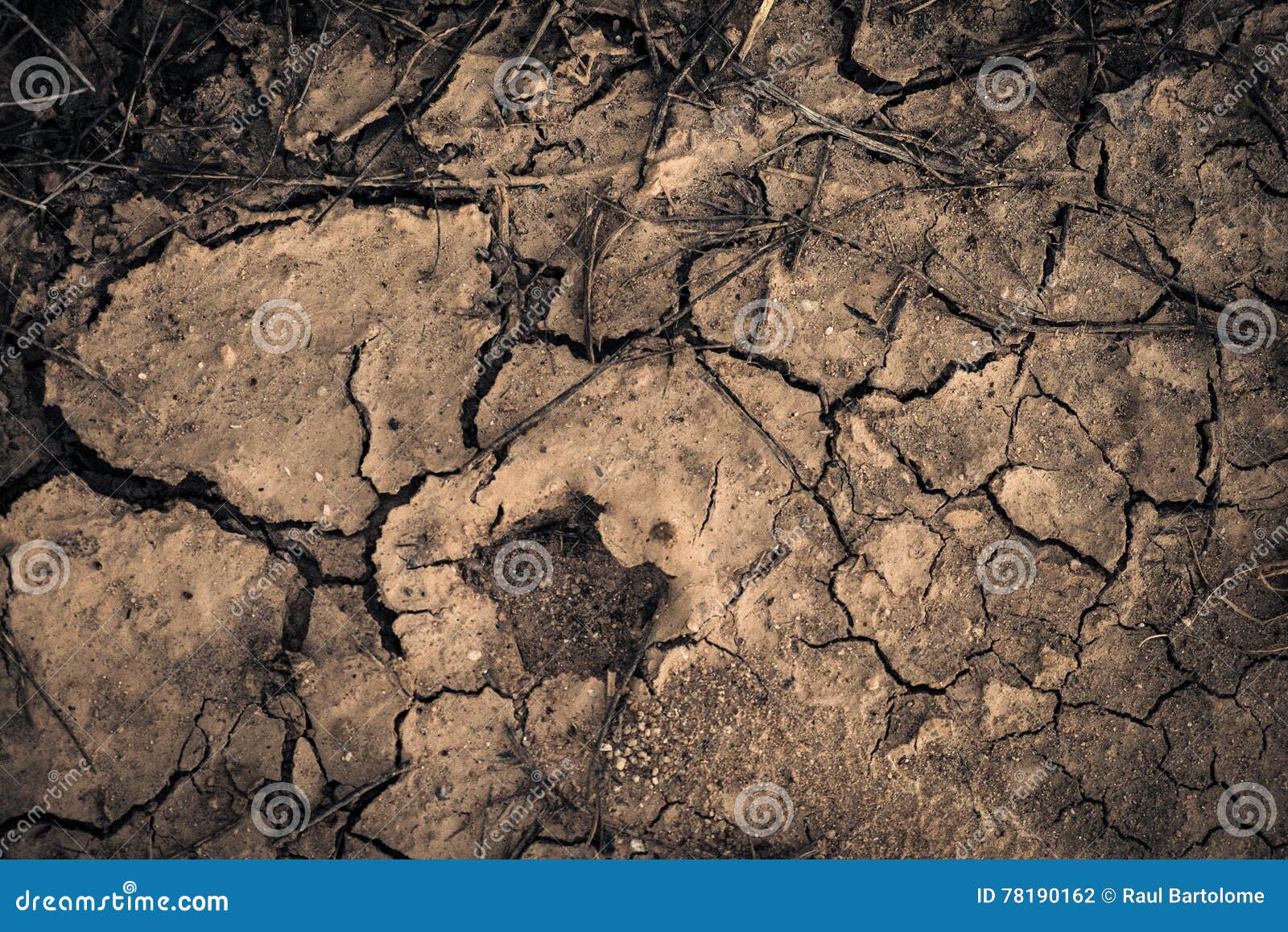 Earth waterless stock photo. Image of change, skin, climatic 78190162