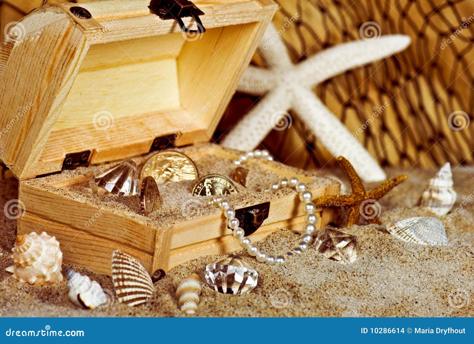 Gold Coins and Seashells in Wooden Treasure Chest Stock Photo Image