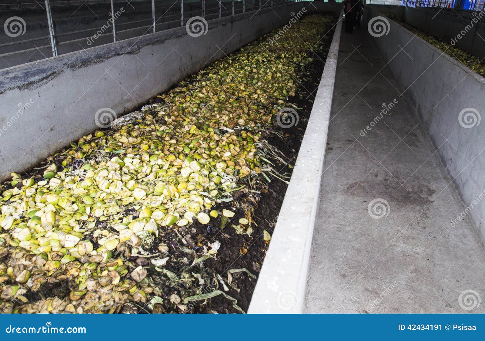 Earthworm farm stock image. Image of animals, medium 42434191