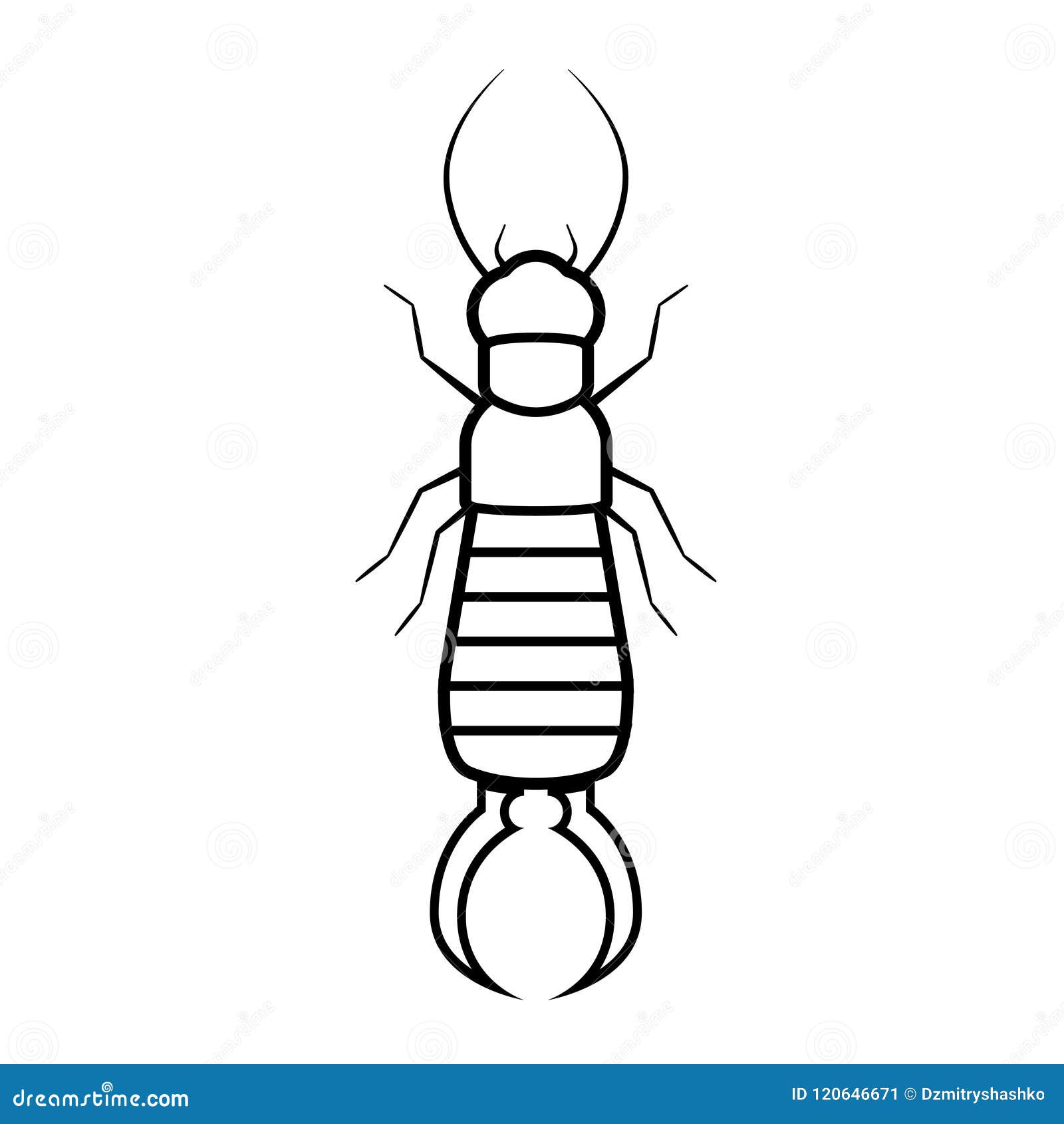 Download 132+ Coloring Picture Earwig Coloring Pages PNG PDF File