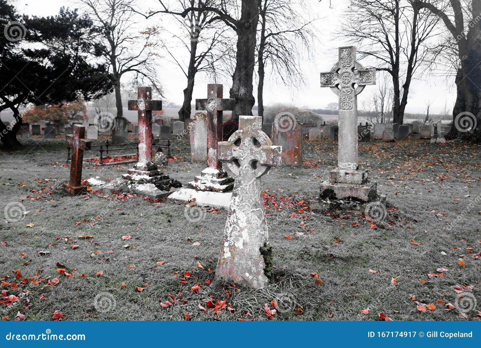 scarey grave yard with crosses as head stones back and white photograph