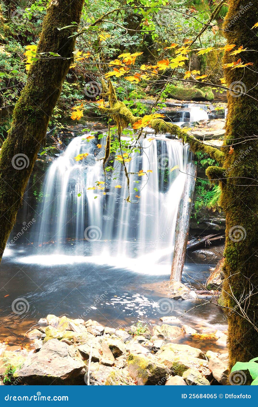 East Coquille stock image. Image of waterfall, current 25684065