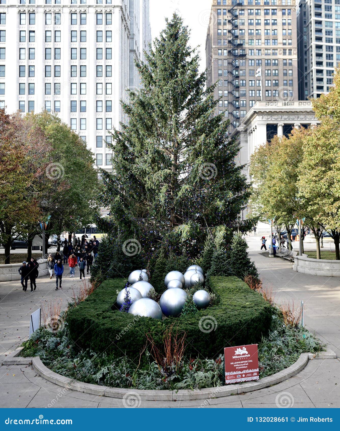 Tree disposal 2018 chicago