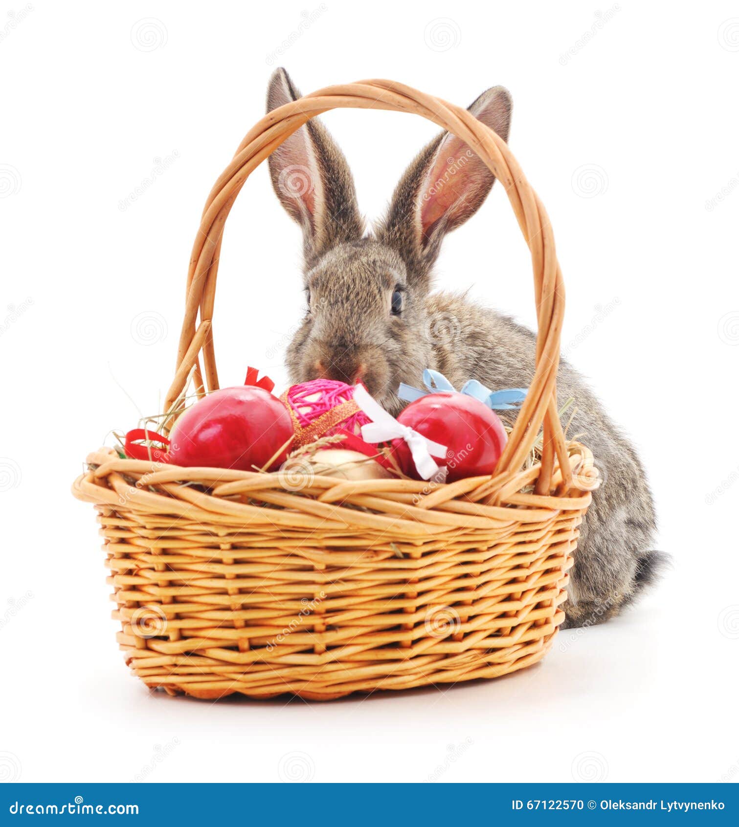 Easter basket and bunny. stock photo. Image of pets, animal 67122570