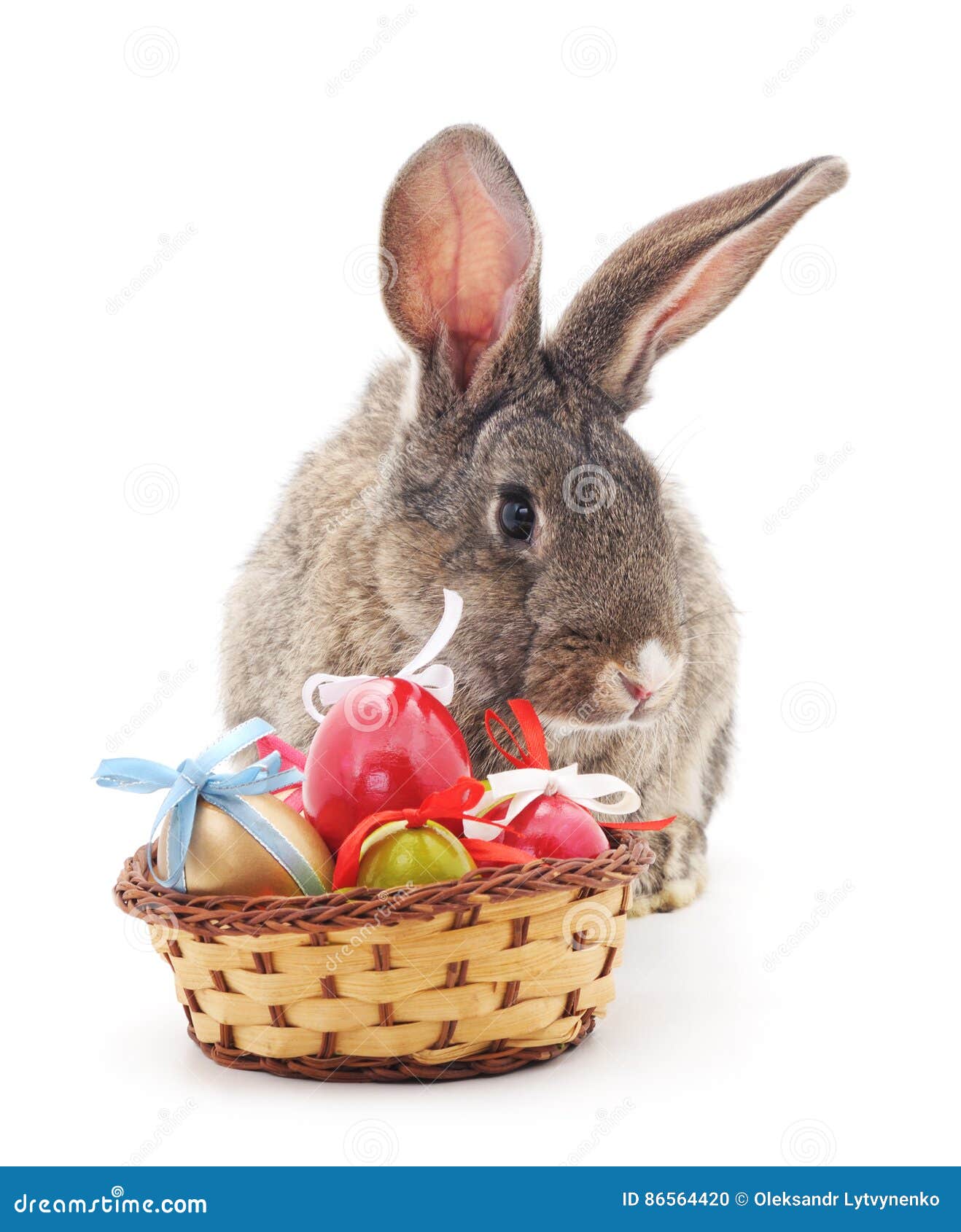 Easter basket and bunny. stock photo. Image of closeup 86564420