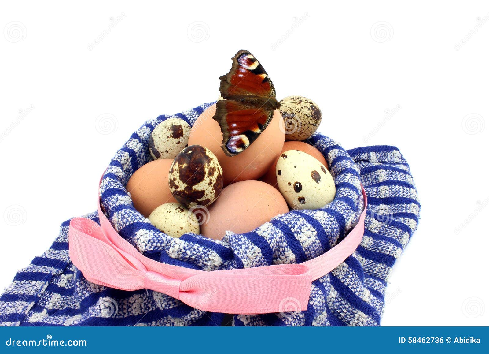 Easter Basket and Butterfly Stock Photo Image of eggshell, life 58462736