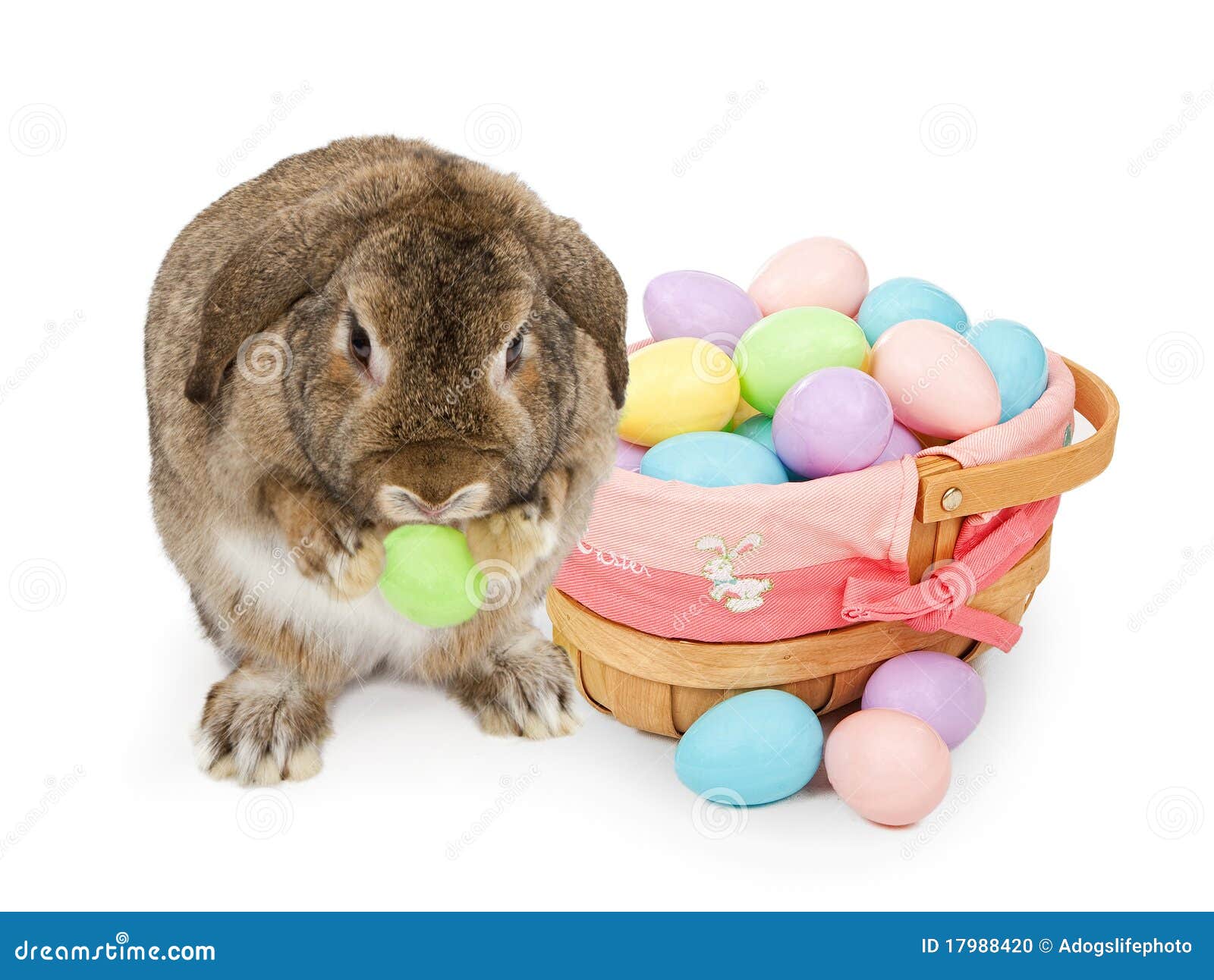 Easter Basket with Pastel Colored Plastic Eggs Stock Photo Image of