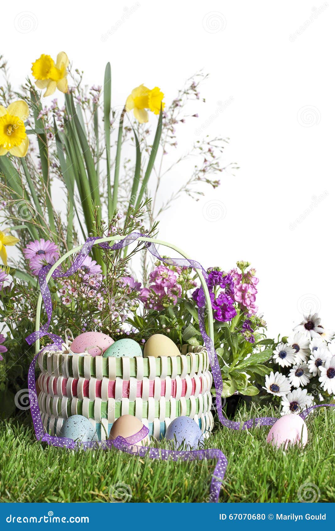 Easter Basket Spring Flowers Stock Photo Image of basket, green 67070680