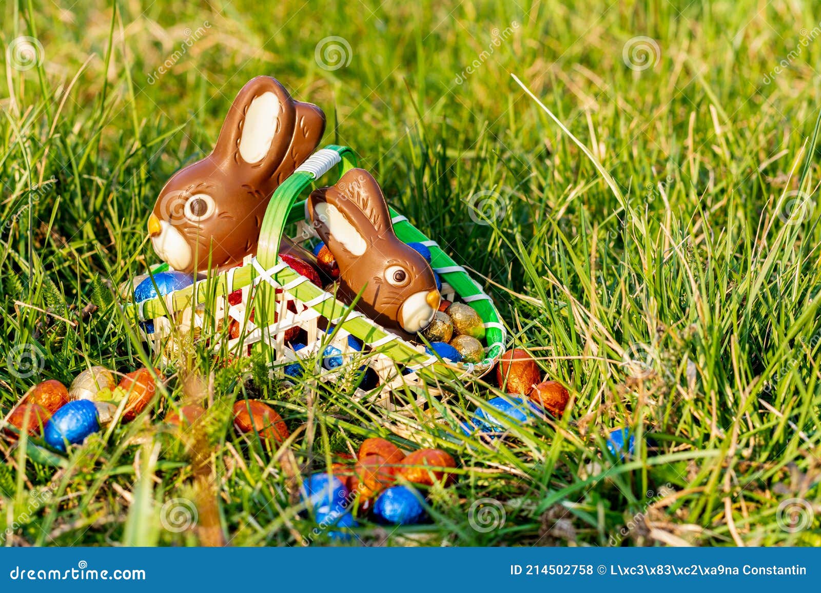 Easter Bunnies in a Basket. Stock Photo Image of tradition, fresh