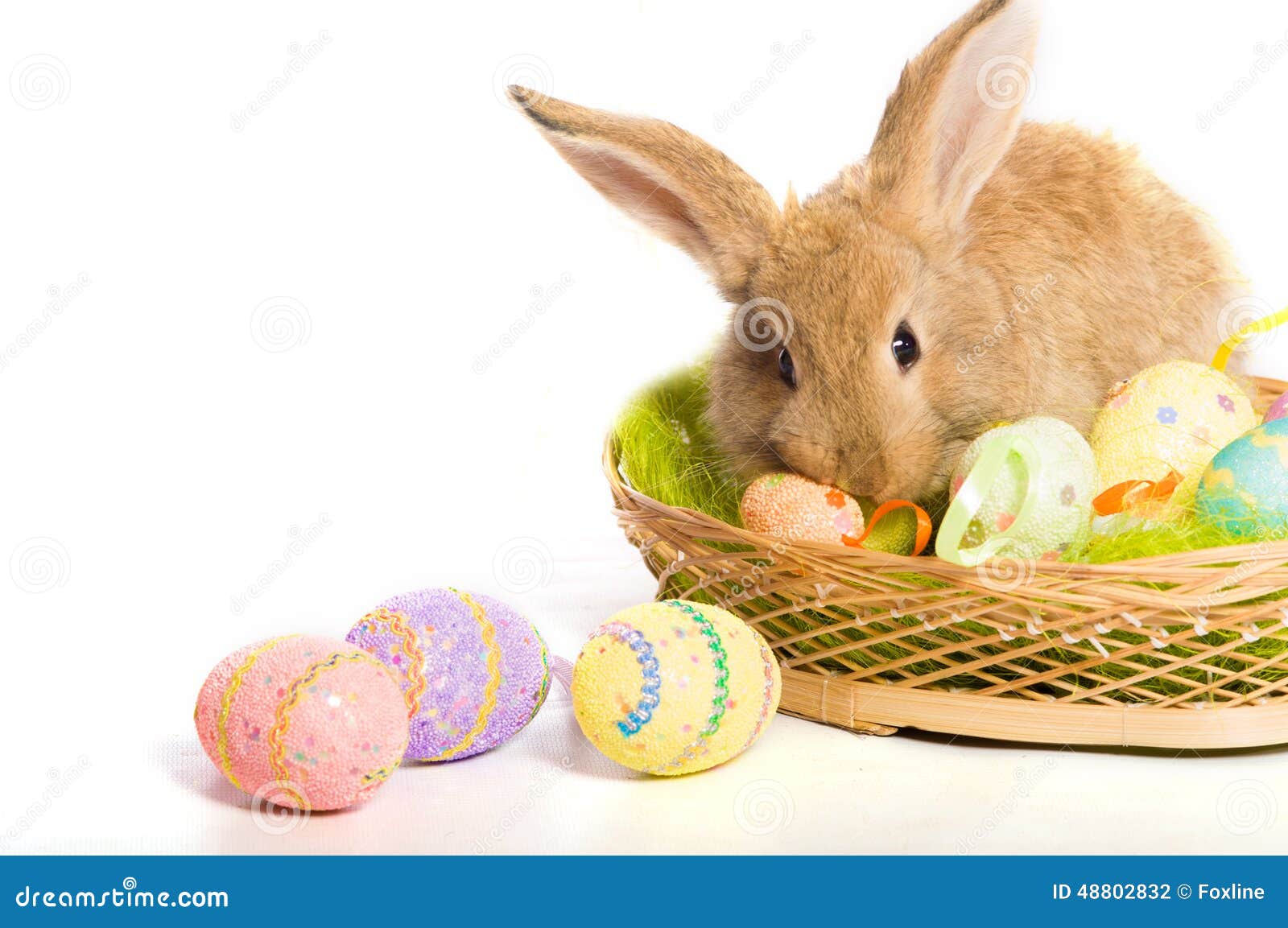Easter Bunny with Basket and Eggs Stock Photo Image of colored