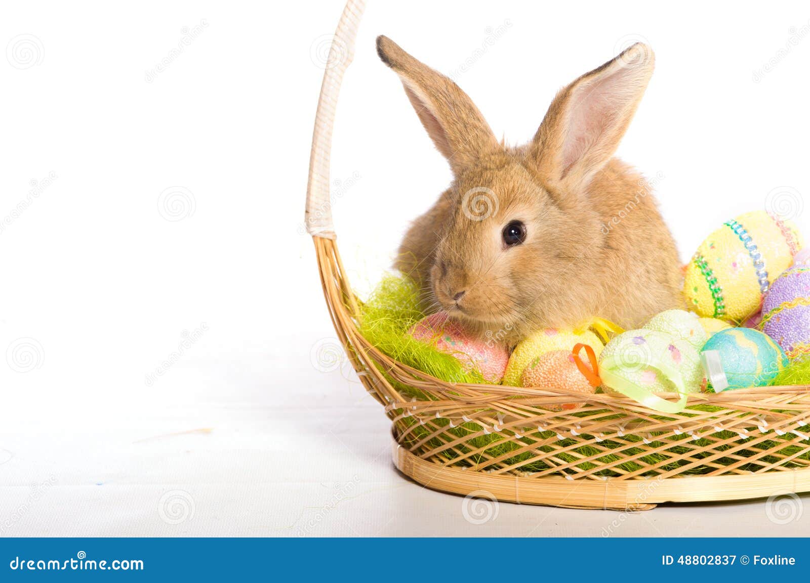 Easter Bunny with Basket and Eggs Stock Image Image of farm, colored