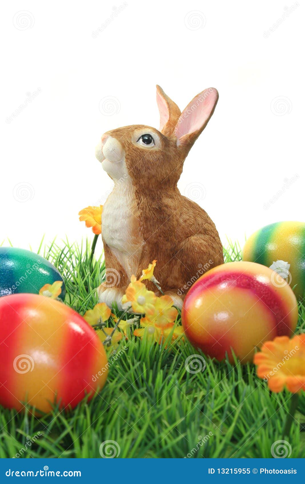 Easter Bunny with Eggs on a Lawn Stock Image Image of animal, blue 13215955