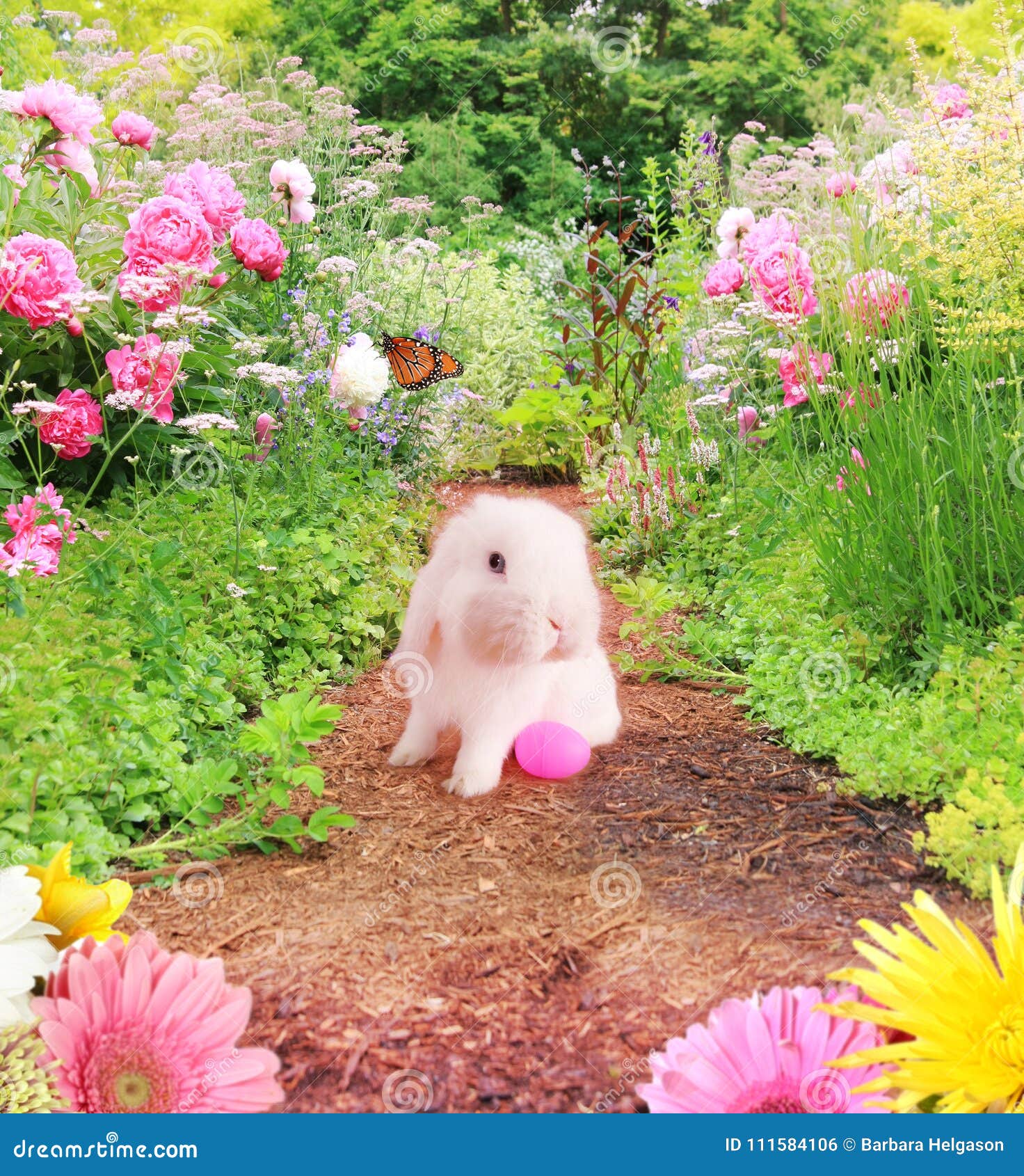 Easter Bunny in the Garden. Stock Photo Image of garden, flower