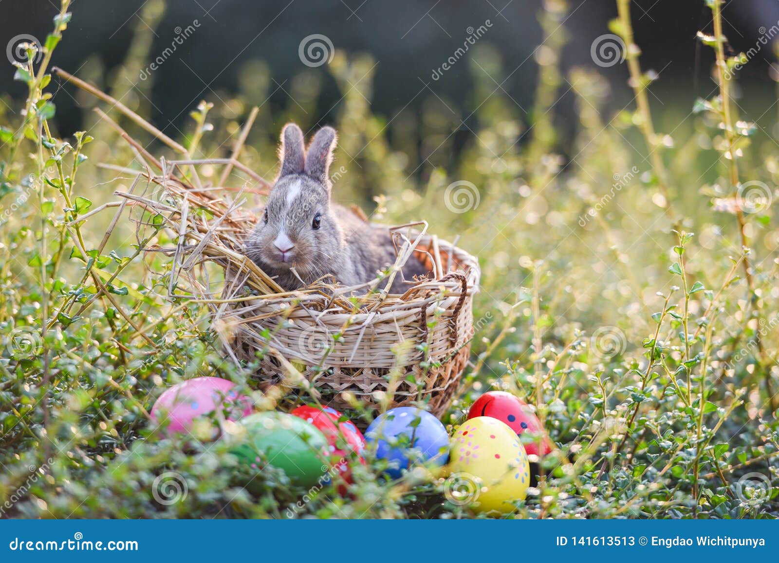 435,413 Easter Nature Photos Free Royalty-Free Stock from