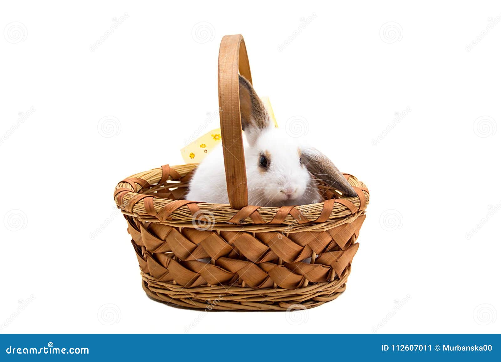 Easter Bunny in Wicker Basket. Stock Image Image of happy, cute 112607011