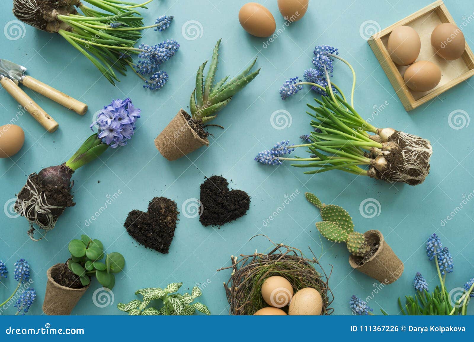 Easter Composition. the Process of Transplanting Flowers, Top View