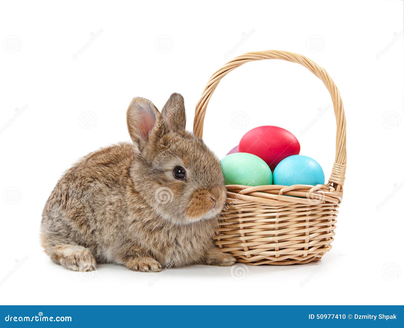 Easter Concept. Rabbit and Basket with Easter Eggs Isolated on W Stock Photo Image of hare