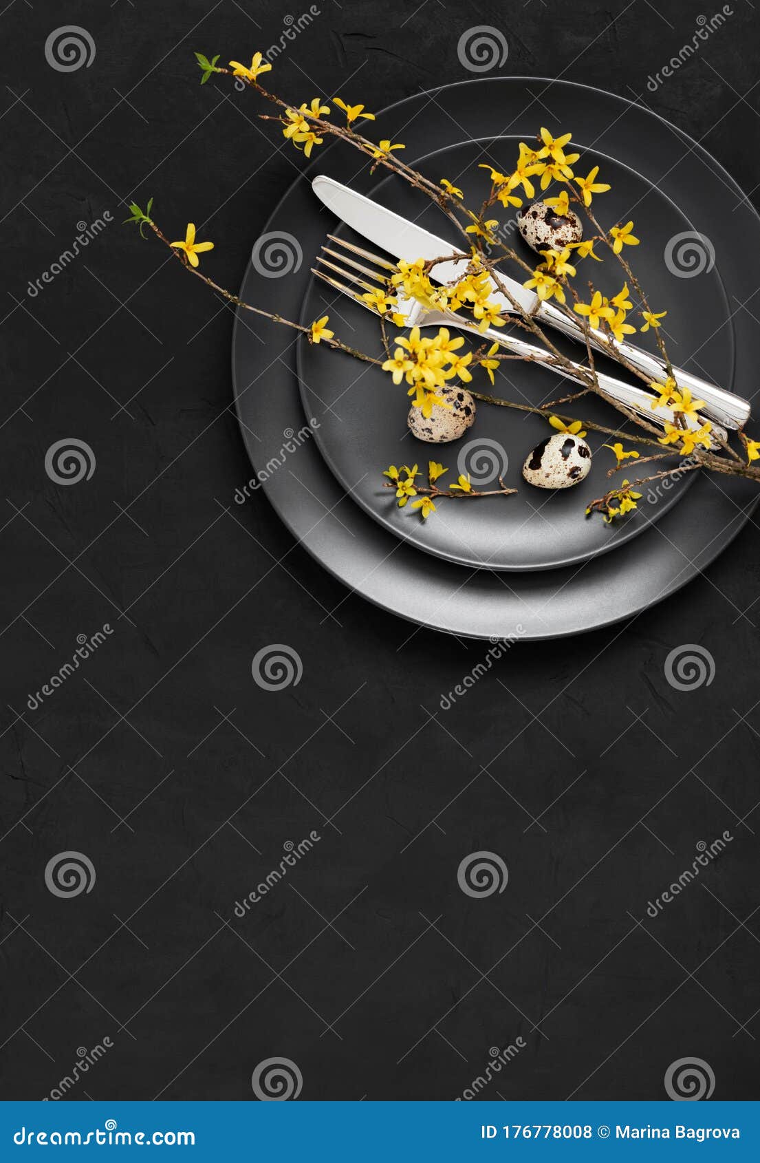 easter dark table setting with quail eggs and yellow forsythia flowers on a black background. vertical orientation