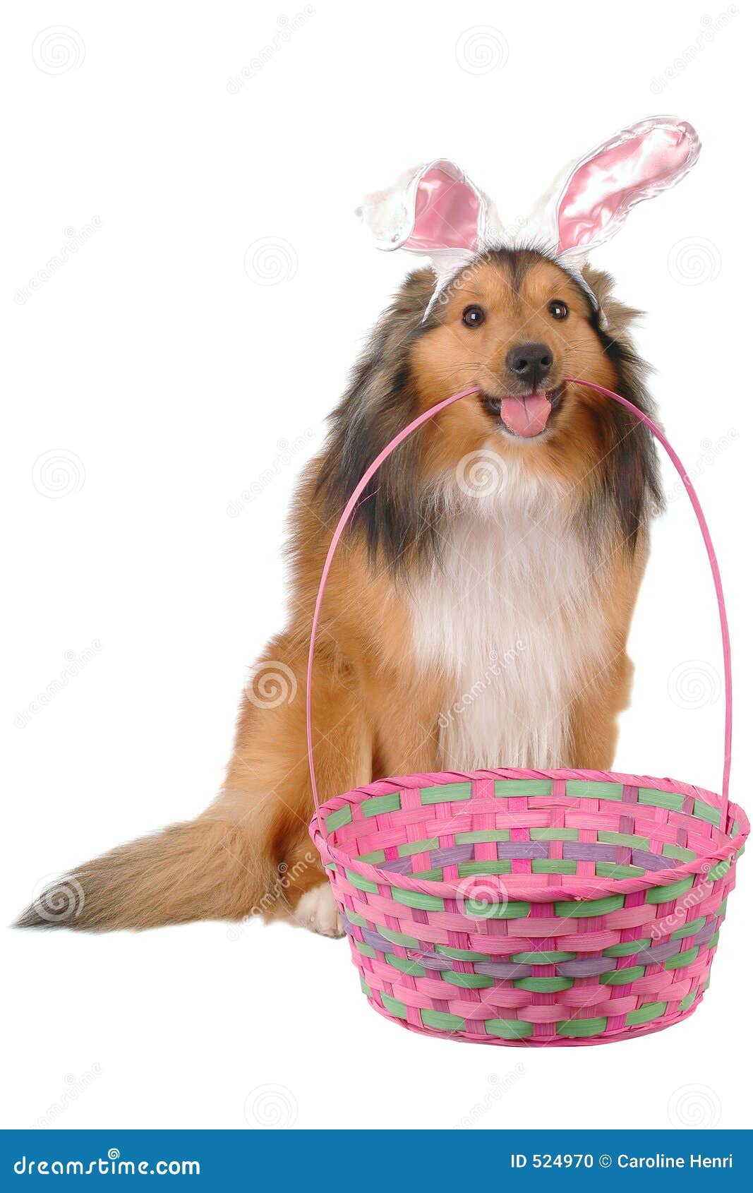 Easter Dogs reepik