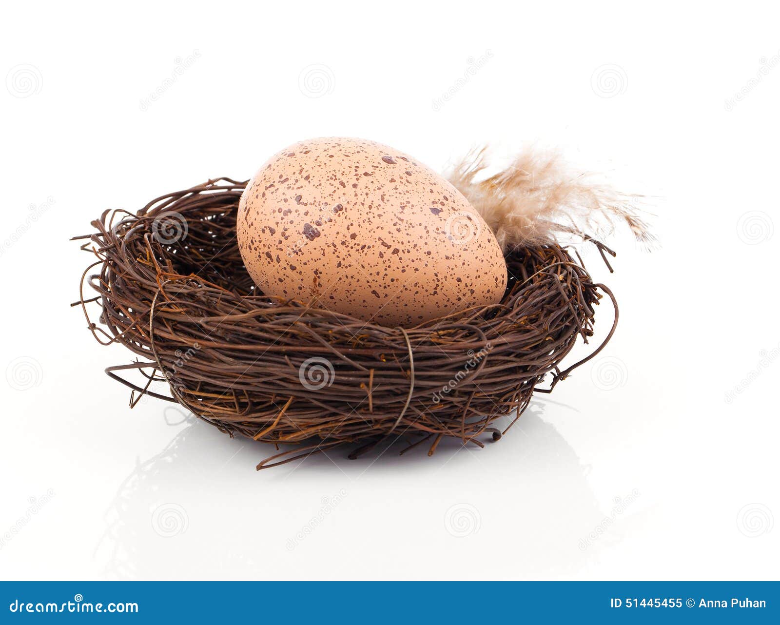 Easter egg in birds nest stock image. Image of background 51445455