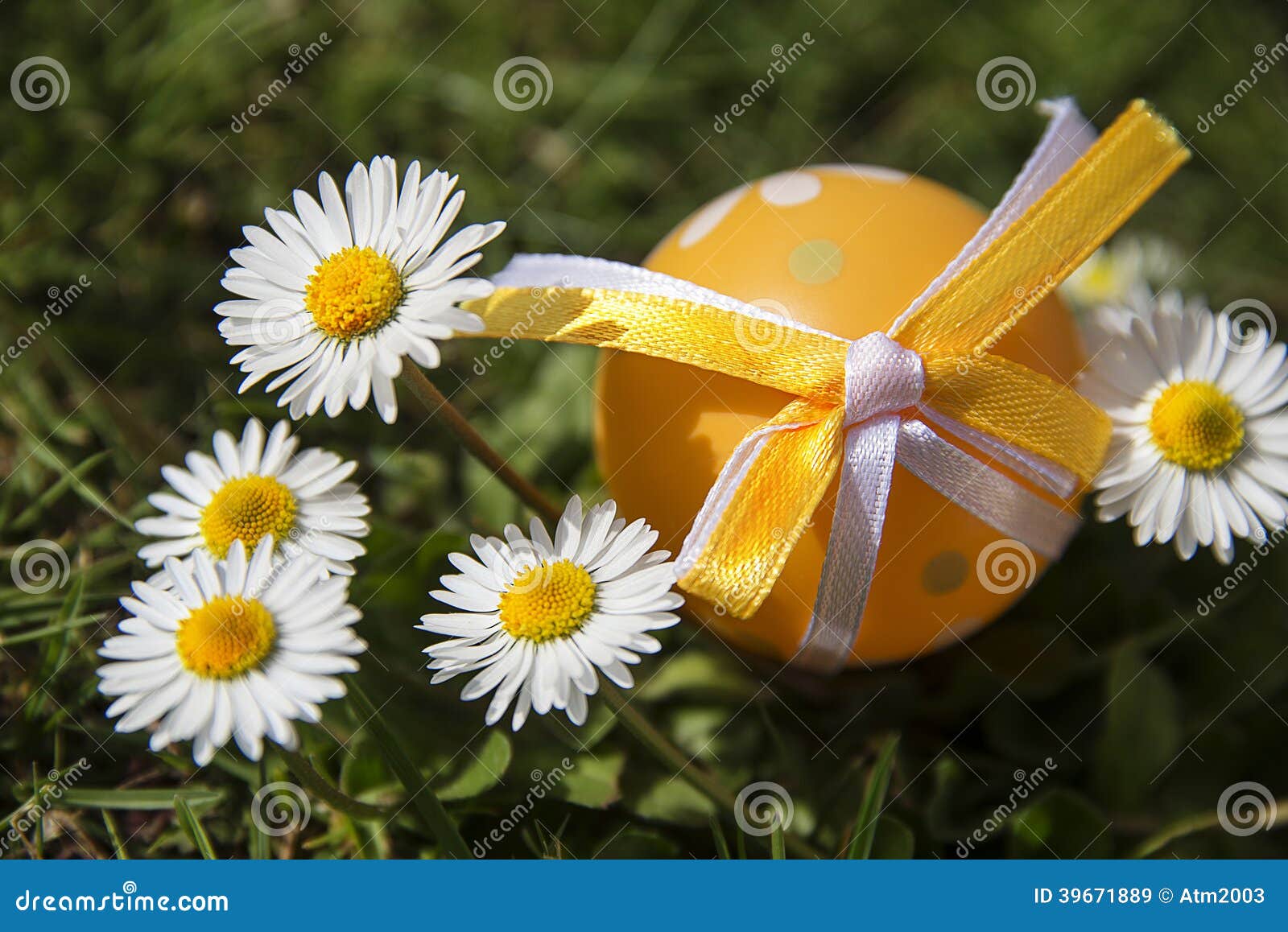 Easter egg and daisies stock image. Image of background 39671889