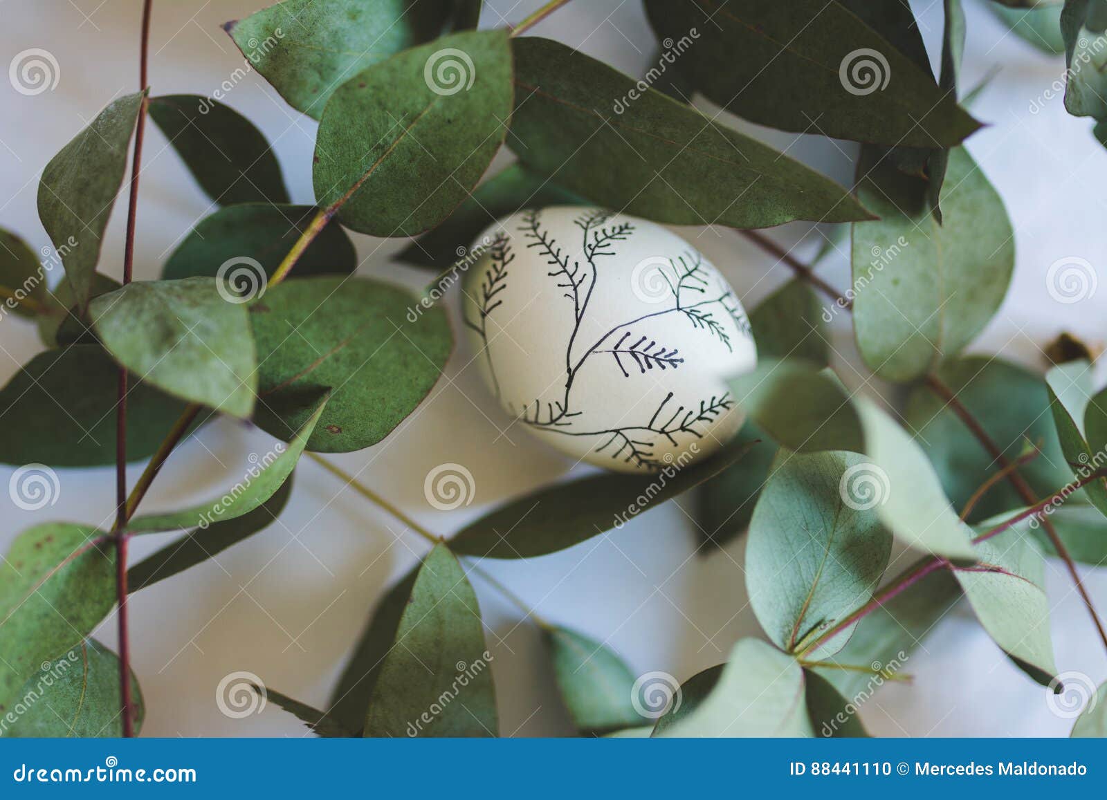 Easter Egg Decorated with Branches Stock Photo Image of concept