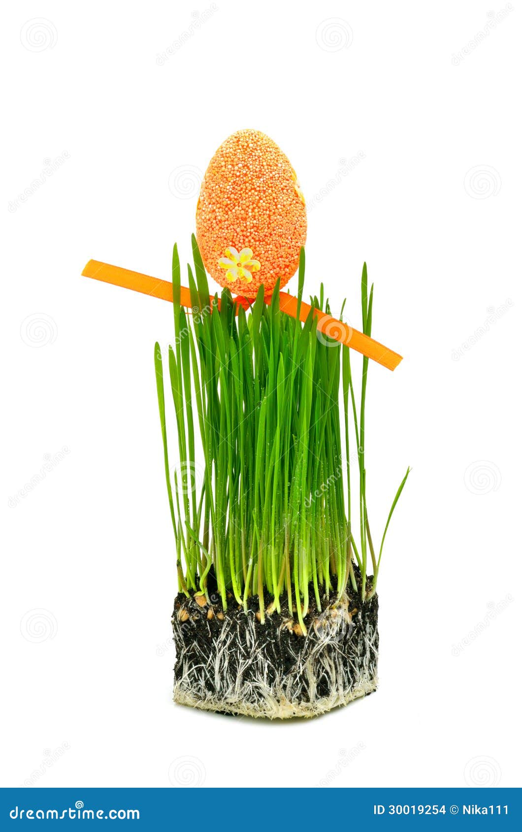 Easter Egg on Fresh Green Wheat Grass Stock Photo Image of ecology, beginning 30019254