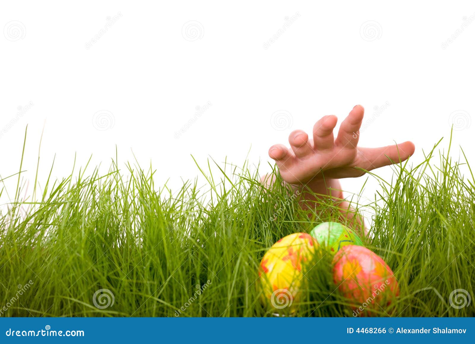 Easter Egg Hunt Stock Photo Image Of Decoration Celebration