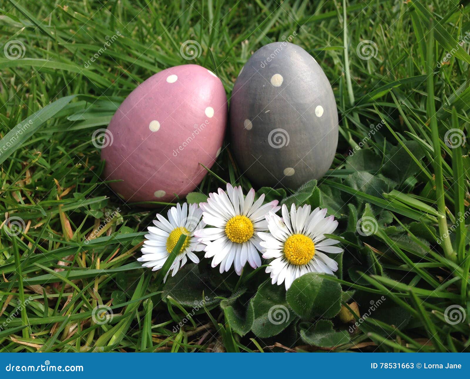 easter egg hunt eggs in grass with daisy stock, photo, photograph, image, picture
