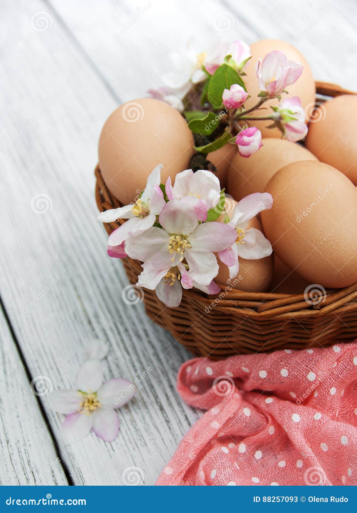 Easter Eggs And Apple Blossom Stock Image Image of holiday, green