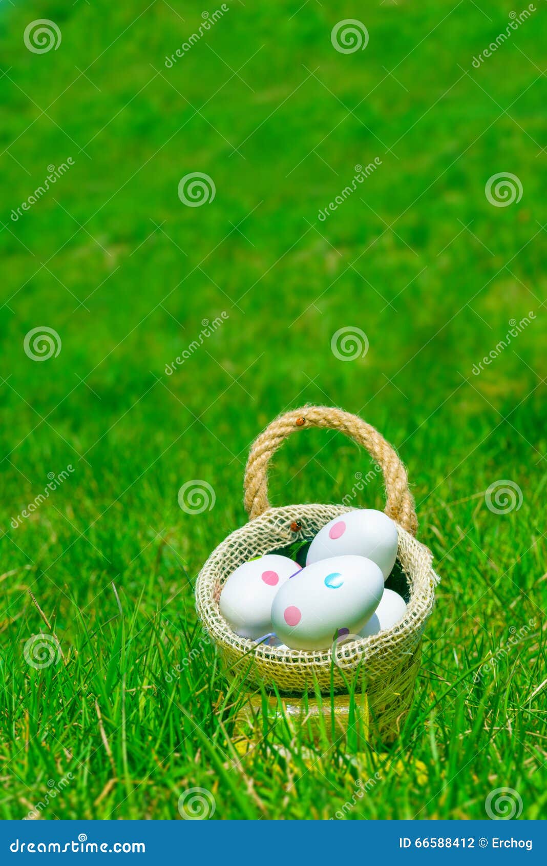 Easter Eggs in Basket on Green Grass Stock Photo Image of nature