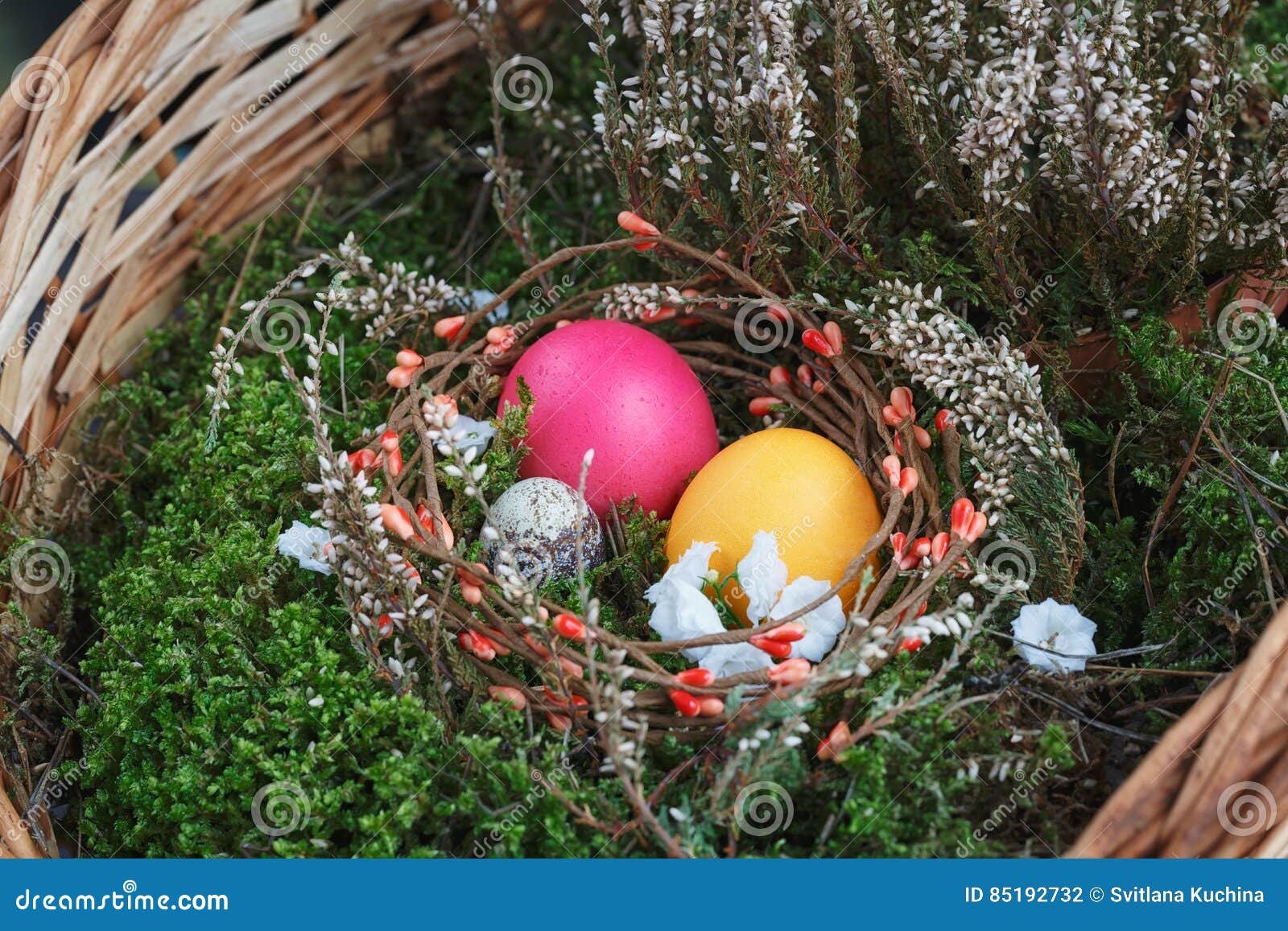 Easter Eggs in a Basket with a Green Moss Stock Photo - Image of