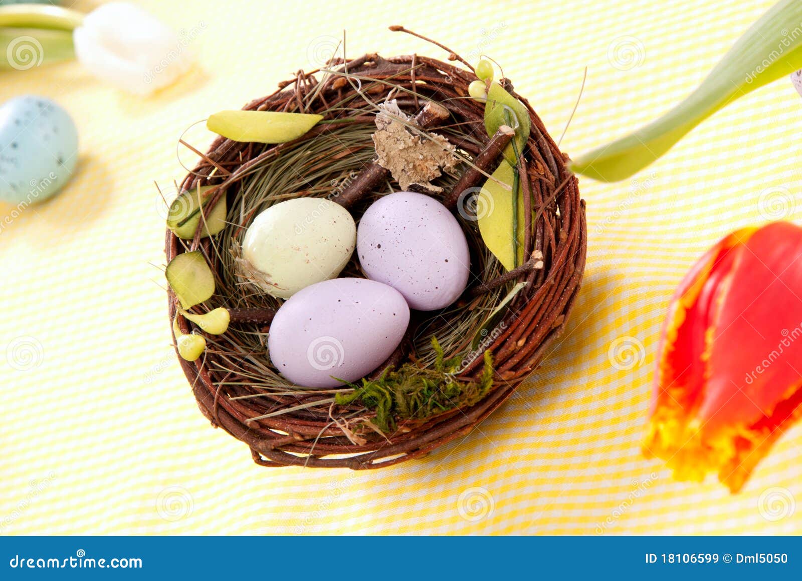 Easter eggs in birds nest stock image. Image of eggs 18106599