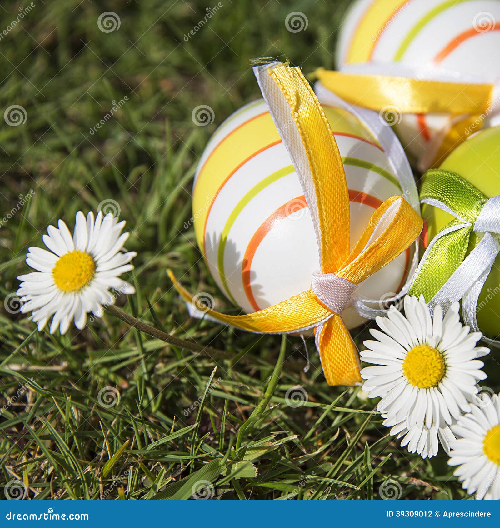 Easter eggs and daisies stock photo. Image of orange 39309012