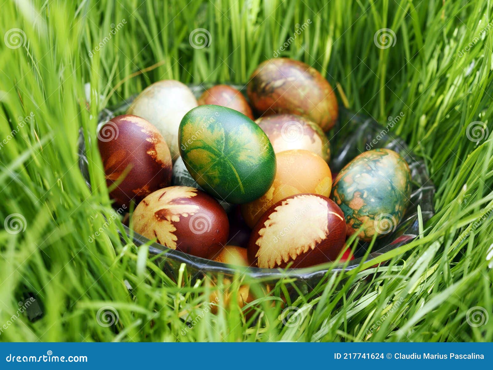 Easter Eggs Decorated with Leaves on Grass Grass Stock Photo Image of