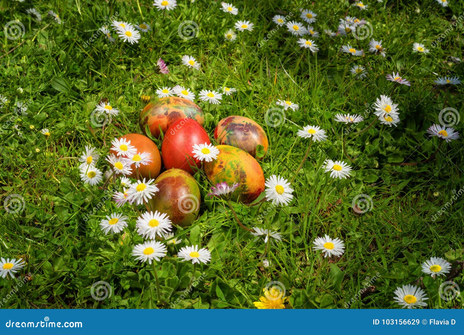 Easter Eggs on a Field of Fresh Grass and Daisies in a Sunny Spring Day