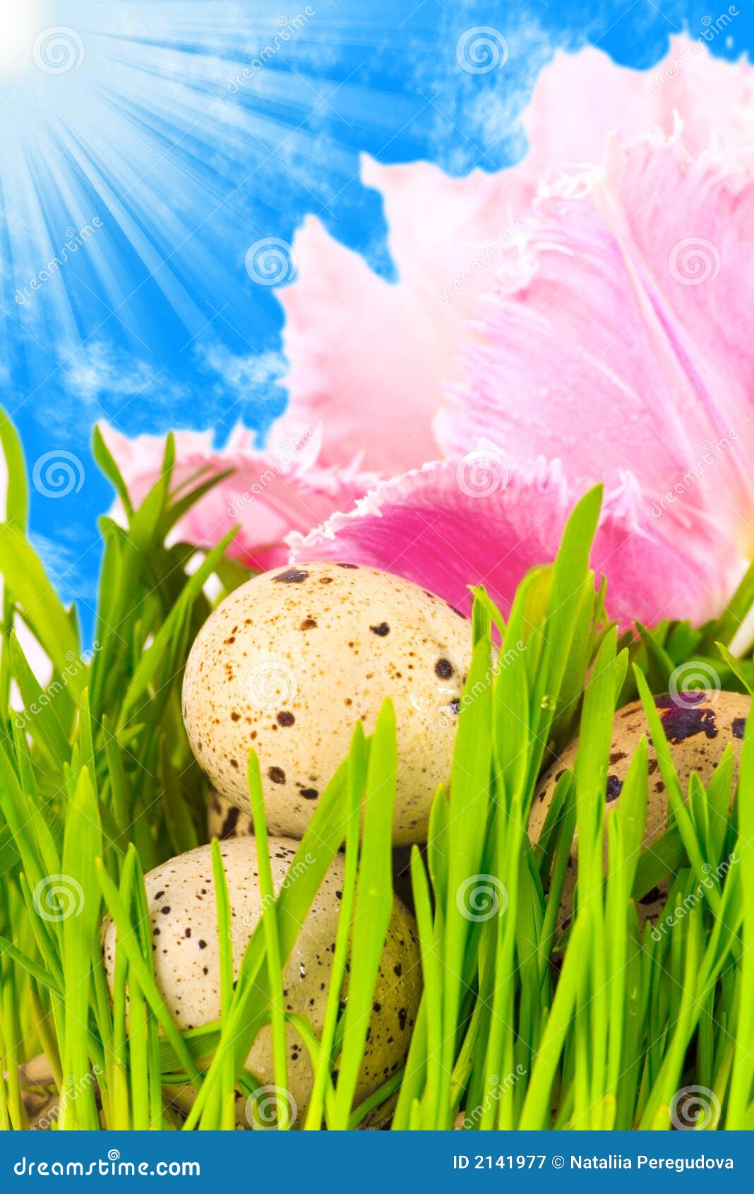 Easter eggs in flower stock image. Image of green, nestling 2141977