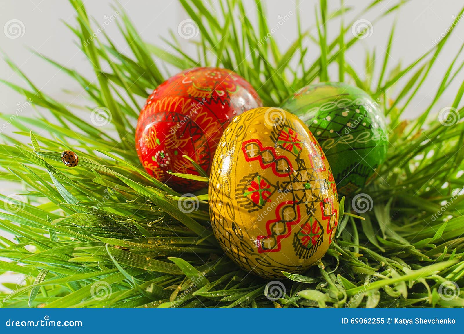 Easter eggs on green grass stock image. Image of easter 69062255