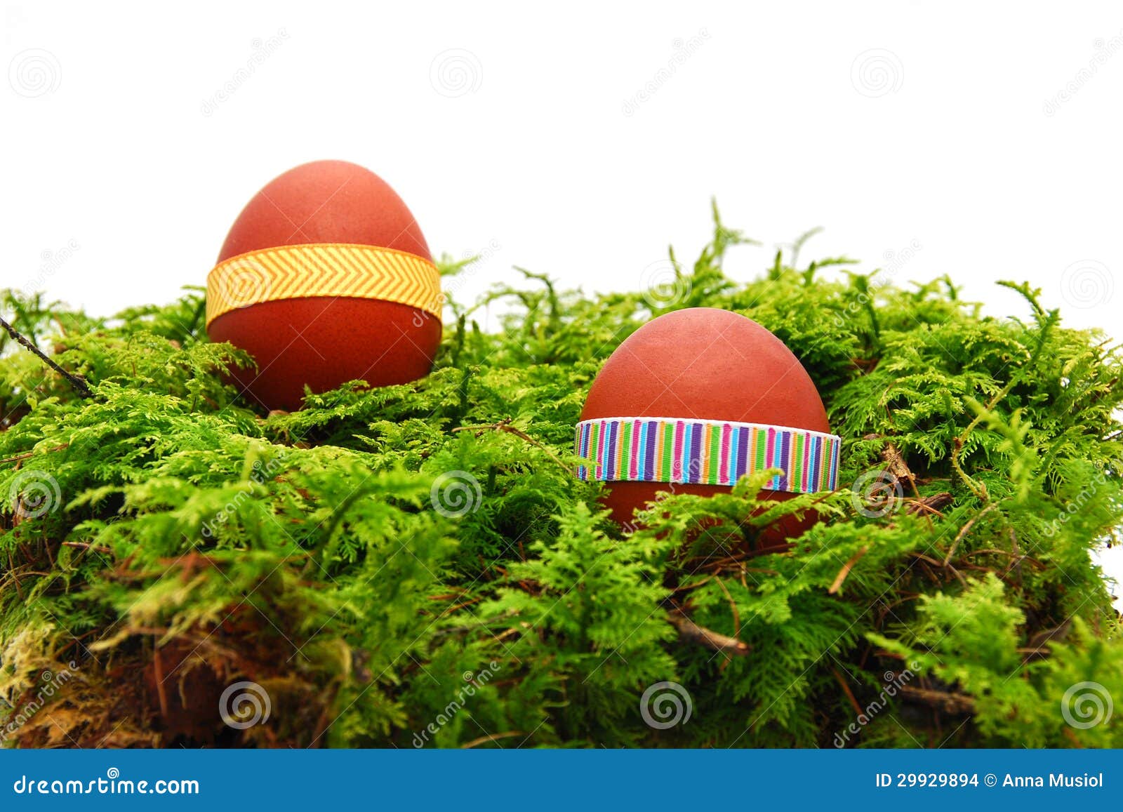 Easter eggs stock photo. Image of celebration, moss, decoration - 29929894
